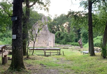 Tour Wandern Le Vaudoué - Le Vaudoué entre champs et forêt - Photo