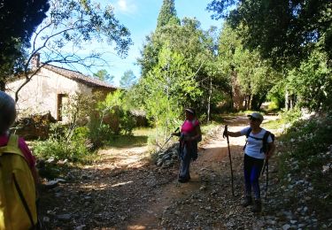 Tocht Stappen Le Thoronet - thoronet. le canal de saint croix et le village ruiné de Pételin - Photo