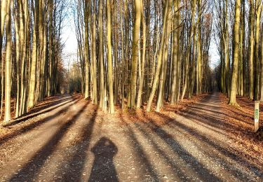 Tocht Stappen Oudergem - Hoeilaert - Watermael - Photo