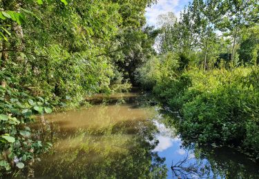 Tocht Stappen Magné - Magné - Sèvre - Photo