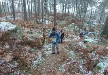 Trail Walking Fontainebleau - croix de Souvray 16 décembre 2022  - Photo