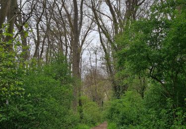 Trail Walking Remaucourt - Le tilloy - les sources de la somme - Photo