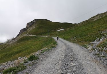 Tocht Noords wandelen Arbaz - 23.08.20 Pas de Maimbré  - Photo