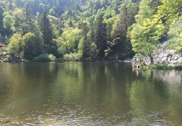 Percorso Marcia Metzeral - 28-05-23 Metzeral : lac de shiessrothried - lac Fischboedle - Photo