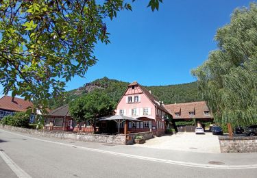 Trail Walking Obersteinbach - obersteinbach 7km - Photo