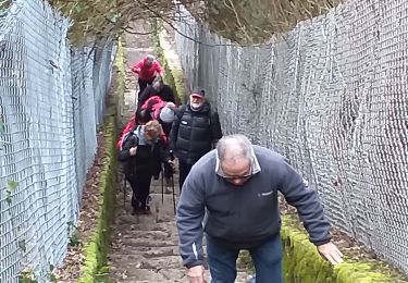 Excursión Senderismo Besançon - Brégille, Beauregard  - Photo