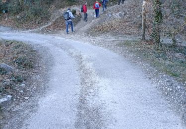 Randonnée Marche Pernes-les-Fontaines - pernes la roque - Photo