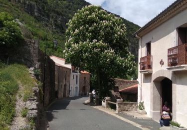 Tour Wandern Pégairolles-de-l'Escalette - pegairolles Larzac  - Photo