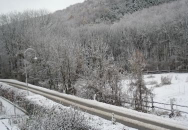 Excursión A pie Gemeinde Klosterneuburg - Klosterneuburg - Hinterweidling - Photo