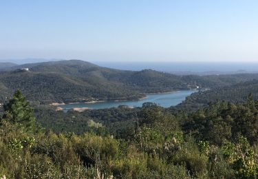 Tocht Stappen La Londe-les-Maures - Les barrages de la Londe - Photo