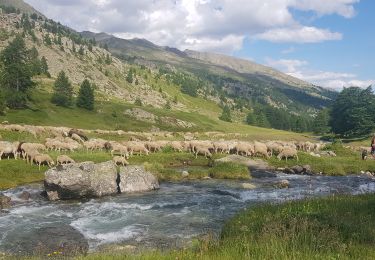 Excursión Senderismo Névache - samedi Laval  - Photo