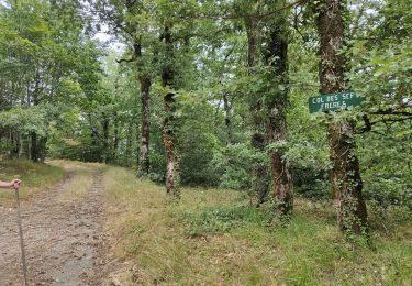 Randonnée Marche Riols - sentier des légendes et tour du lac  - Photo