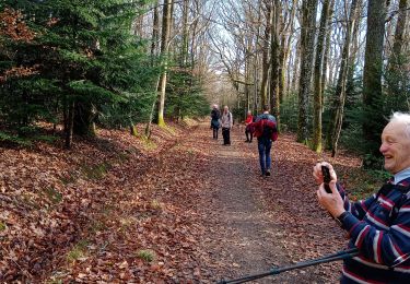 Tocht Stappen Soultz-Haut-Rhin - Wuenheim (Gros chêne)-Berrwiller (9/01/2020) - Photo