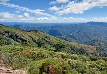 Tour Wandern Arphy - les cascades d orgon - Photo