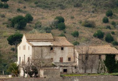 Trail On foot Tiana - SL-C 145 La vall de Montealegre - Photo