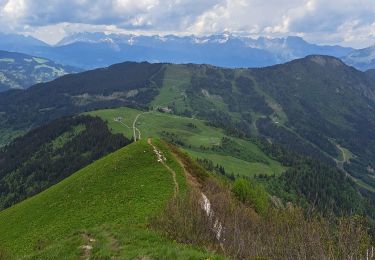Trail Walking Les Houches - Maison Neuve (Les Houches) boucle par Bellevue et Mont  Lachat - Photo