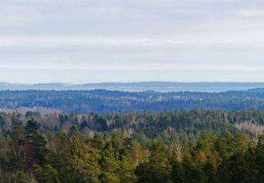 Tour Zu Fuß  - Tornbergslingan - Photo