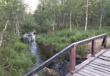 Tocht Stappen Inari - Finlande-saariselka-3_5km - Photo