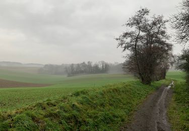 Tocht Stappen Waver - Autours des champs - Photo