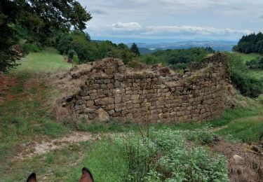 Trail Horseback riding Saint-Victor - petit tour le soleil - Photo