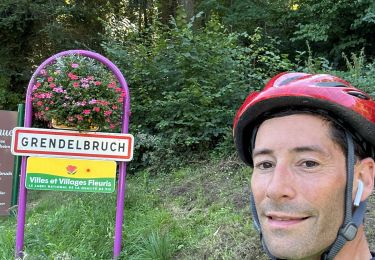 Tour sport Eckbolsheim - #jemevidelatete - Photo