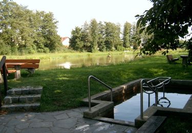 Percorso A piedi Münchsteinach - Baudenbach Rundweg B2 - Photo