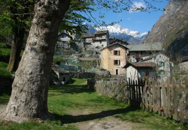 Percorso A piedi Novate Mezzola - (SI D18N) Codera - Frasnedo - Photo