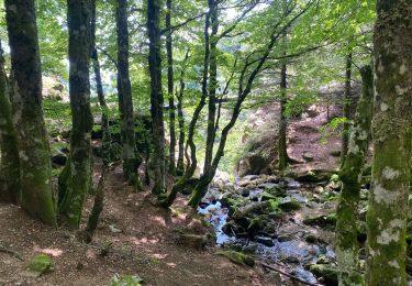 Tour Wandern Mandagout - Cap de coté cascade Orgon - Photo