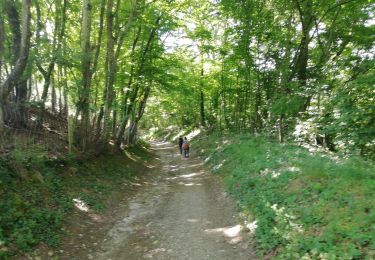 Trail Walking Saint-Pierre-de-Chandieu - 69-Saint Pierre de Chandieu 17km 400m MAI 2020 - Photo