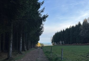 Tocht Stappen Malmedy - Ferme Libert - Photo