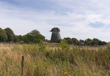 Tocht Elektrische fiets Ronse - wittentak - Photo