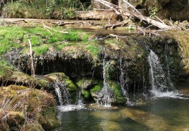 Tour Wandern Cabasse - Cabasse - Lac de Carcès - Issole - ND du Glaive - Dolmen de la Gastée - Photo