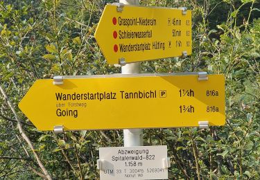 Randonnée A pied Gemeinde Going am Wilden Kaiser - Wanderweg 33 - Niederkaiser - Photo