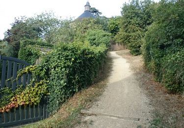 Trail Walking Iteuil - Aigne la Troussay Iteuil  - Photo