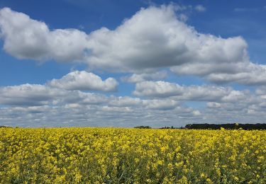 Tocht Stappen Étrépagny - Etrépagny, La Broche, Le Mesnil Guilbert - Photo