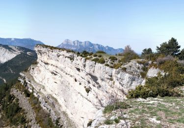 Excursión Senderismo Aurel - Le Plateau de Solaure par Aurel - Photo