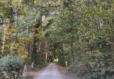 Trail Walking Marche-en-Famenne - Champlon - Boucle qui alterne sous-bois et vues dégagées à 360°. Larges sentiers caillouteux et un peu de macadam.  - Photo