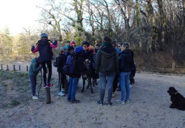 Trail Walking Plan-d'Aups-Sainte-Baume - ste Baume /oratoire de miette - Photo