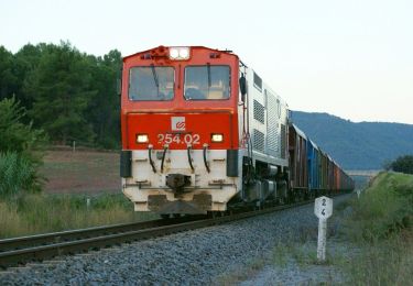 Tocht Te voet Manresa - M7 - Itinerari El regadiu del Poal - Photo