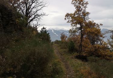 Tour Nordic Walking Arbaz - Anzère  - Photo