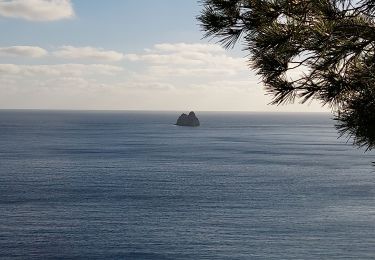 Tour Wandern La Seyne-sur-Mer - Forêt de Janas rando 9 02 - Photo