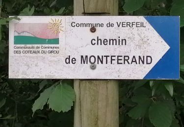 Tour Wandern Verfeil - 2 juillet - Photo