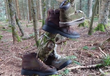 Tour Wandern Stoßweier - gaschney-grotte Dagobert - Photo