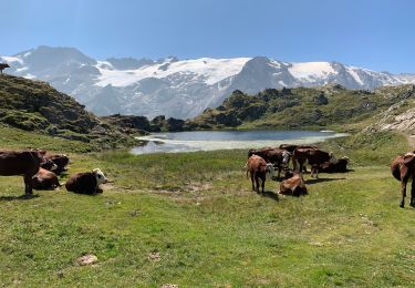 Trail sport La Grave - Plateau d'emparis lac lipié lac noir  - Photo