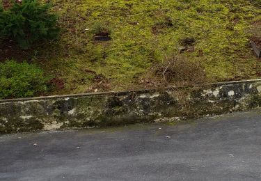 Randonnée Marche Brive-la-Gaillarde - Puybaret autour de chez moi - Photo