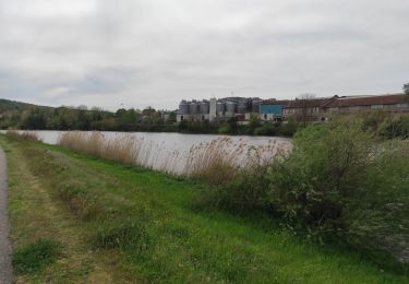 Tocht Stappen Nancy - Nancy - Le grand couronné - Dommartemont - Le moulin noir - Nancy - Photo