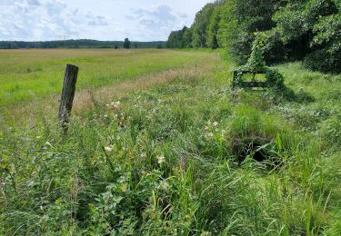 Tour Zu Fuß Unbekannt - Müggel-Spree-Weg - Photo