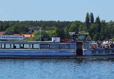 Randonnée A pied Lieberose - Rundwanderwg Baroldmühle-Weinberg-Spitzberg-Hoffnungsbay - Photo