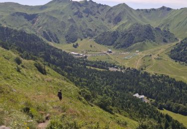 Tocht Stappen Mont-Dore - LE PUY DE SANCY PAR LE VAL DE COURRE ET LA TETE DE FLON  - Photo