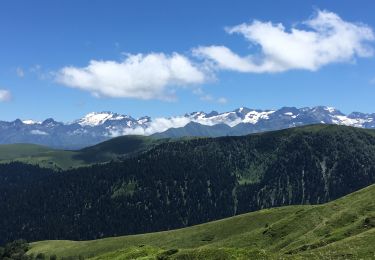 Tocht Stappen Ferrère - Mont ne et lac de Bareilles - Photo